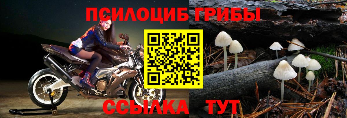Галлюциногенные грибы ЛСД  Вход с VPN  Галлюциногенные грибы GOLDEN TEACHER  Лыткарино 