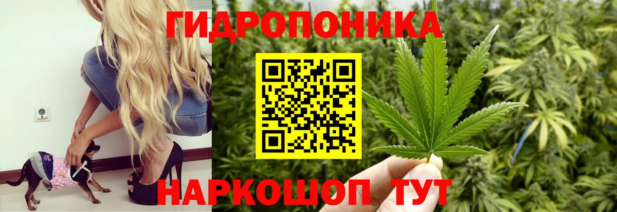 Канабис сатива Лыткарино